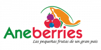 logo-aneberries-retina